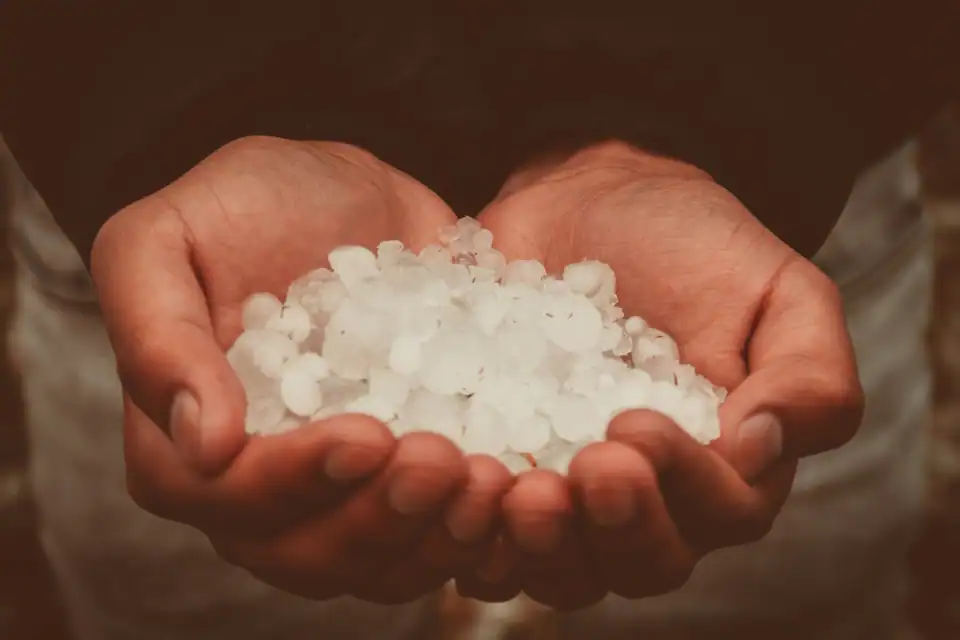 Hailstones gathered in two cupped hands